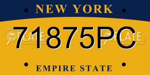 71875PC New York License Plate