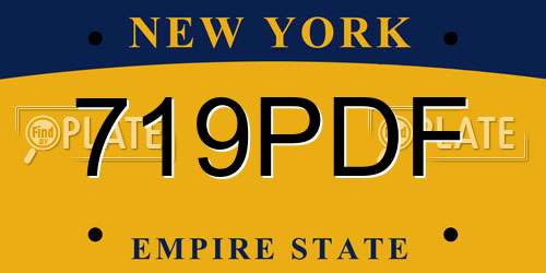 719PDF New York License Plate