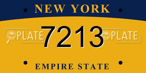 7213 New York License Plate