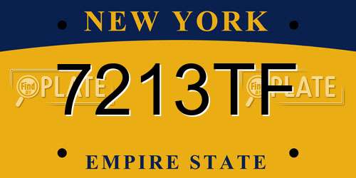 7213TF New York License Plate