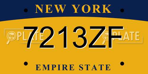 7213ZF New York License Plate