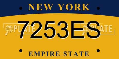 7253ES New York License Plate