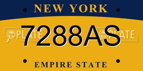 7288AS New York License Plate
