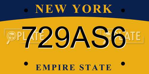 729AS6 New York License Plate