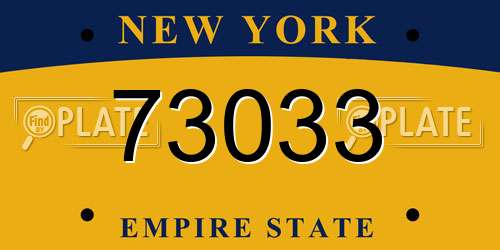 73033 New York License Plate