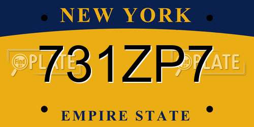731ZP7 New York License Plate