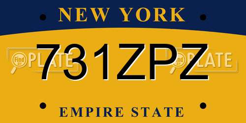 731ZPZ New York License Plate