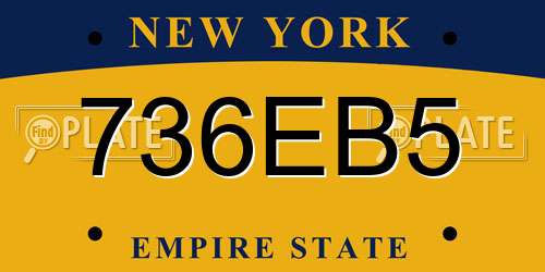 736EB5 New York License Plate