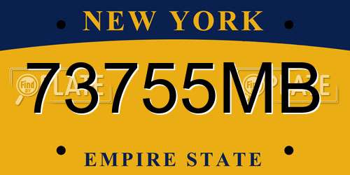 73755MB New York License Plate