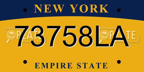 73758LA New York License Plate