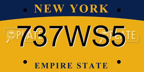737WS5 New York License Plate