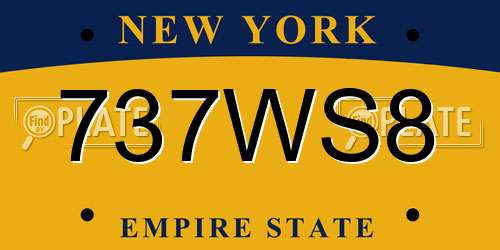 737WS8 New York License Plate