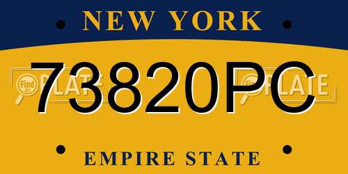 73820PC New York License Plate