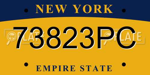 73823PC New York License Plate
