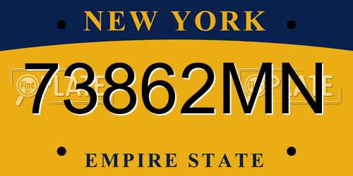 73862MN New York License Plate