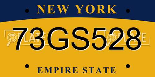 73GS528 New York License Plate