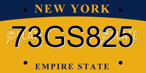 73GS825 New York License Plate