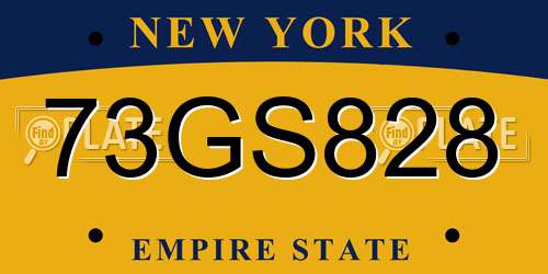 73GS828 New York License Plate