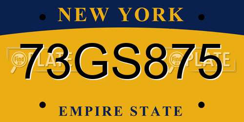 73GS875 New York License Plate