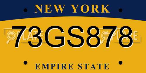 73GS878 New York License Plate