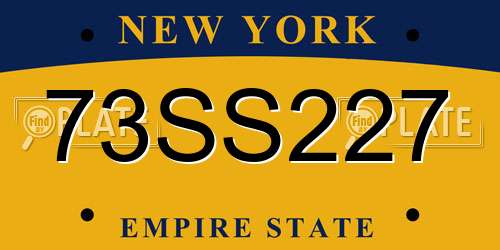 73SS227 New York License Plate