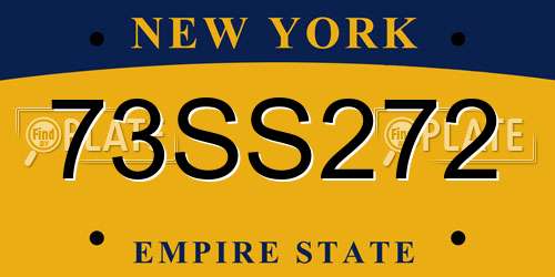 73SS272 New York License Plate