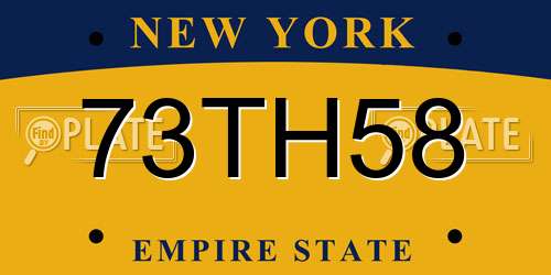 73TH58 New York License Plate