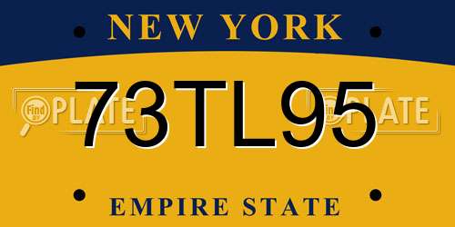 73TL95 New York License Plate