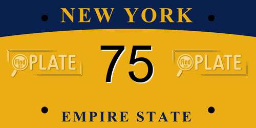 75 New York License Plate