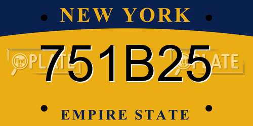 751B25 New York License Plate