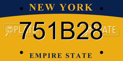 751B28 New York License Plate