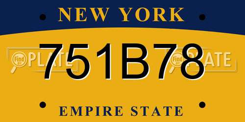 751B78 New York License Plate