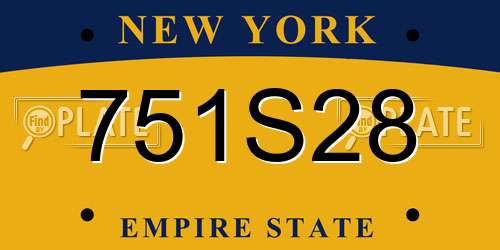 751S28 New York License Plate