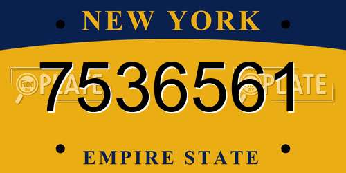 7536561 New York License Plate