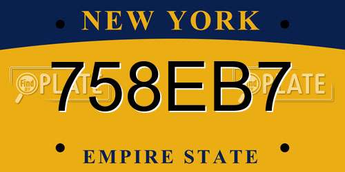758EB7 New York License Plate