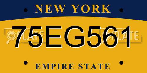 75EG561 New York License Plate