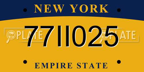 77II025 New York License Plate