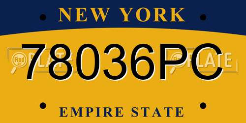 78036PC New York License Plate