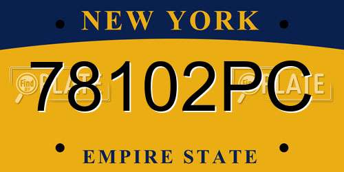 78102PC New York License Plate