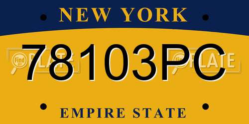 78103PC New York License Plate