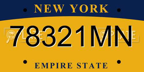 78321MN New York License Plate