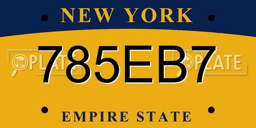 785EB7 New York License Plate