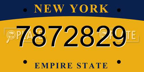 7872829 New York License Plate