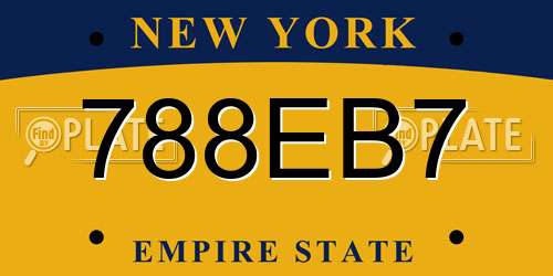 788EB7 New York License Plate