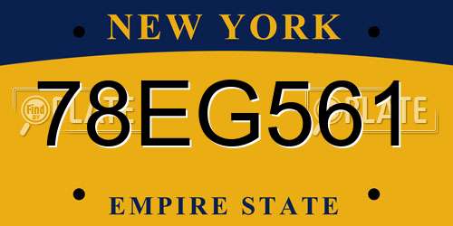 78EG561 New York License Plate