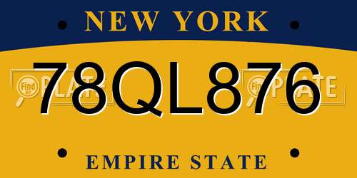 78QL876 New York License Plate