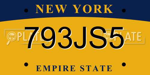 793JS5 New York License Plate
