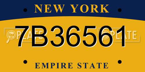 7B36561 New York License Plate