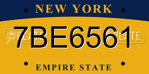 7BE6561 New York License Plate