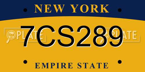 7CS289 New York License Plate